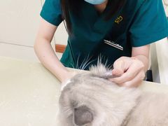 -瑞派康怡24h宠物医院·犬猫医疗中心·微创绝育(瑞景分院)