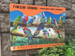 -九龙公园