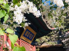 -潭柘寺景区