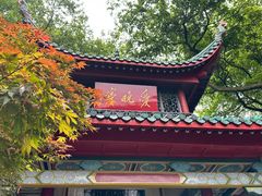 -岳麓山风景名胜区