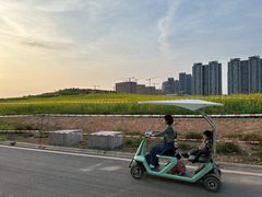 -光明小镇欢乐田园