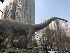 -陕西自然博物馆