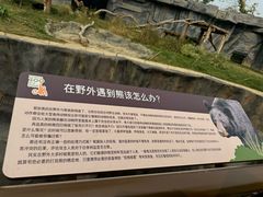 -武汉动物园