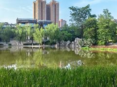 -西安市长乐公园