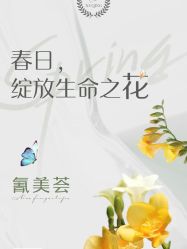 -金都微美·精准护肤·疗愈SPA