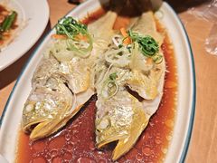 -波螺油子·海肠捞饭·青岛菜(银座店)