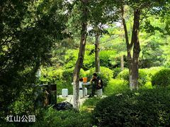 -红山国家森林公园