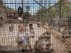 -南京金牛湖风景区