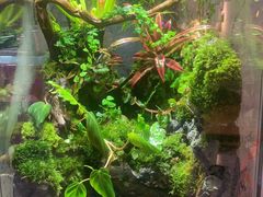 -Rabbit Cafe私房西餐甜点咖啡(栖霞路店)