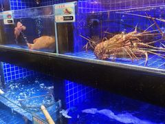 -粤珍轩.创始店.始于2001(含光门店)