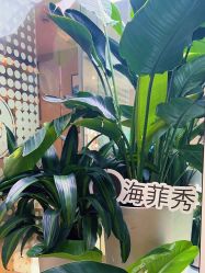 -Fundi张玉珊修身堂·indiba·BTL科技瘦身