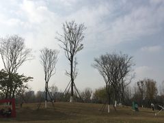 -府河摄影公园