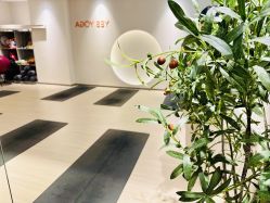 -YesYoga瑜伽普拉提塑形体雕馆