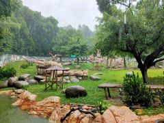 -广州长隆野生动物世界