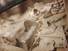 -洛阳周王城天子驾六博物馆