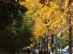 -熙盛源(凤凰街店)