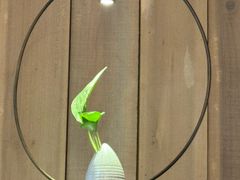 -垚慈居素食(华发新城店)