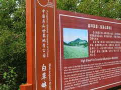 -白草畔自然风景区