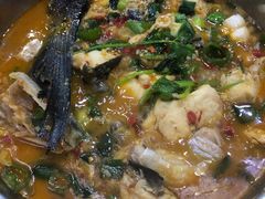 -全乐鱼馆·淳牌有机鱼直营店