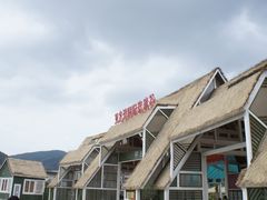 -亚龙湾国际玫瑰谷