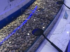 -澜悦港海鲜体验主题餐厅