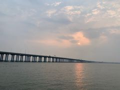 -宝安西湾红树林湿地公园