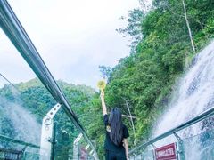 -九龙江国家森林公园