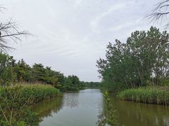 -日照海滨国家森林公园