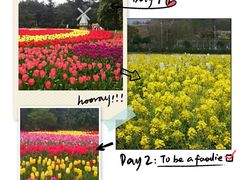 -南山植物园