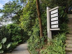 -广州市帽峰山景区