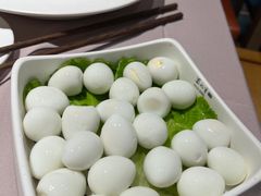 -蜀九香火锅(九眼桥店)