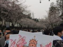 -鸡鸣赐茶(鸡鸣寺路店)