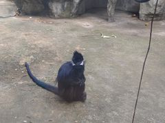 -南昌动物园