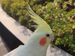-兰溪青年公园