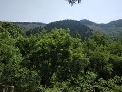 -井塘古村