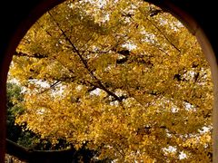 -佛荫寺