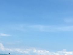 -南麂列岛