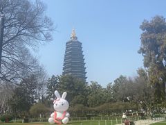 -红梅公园