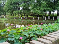 -厦门国家会计学院