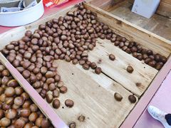 -阿男野栗王(金门路店)