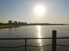 -瑶湖郊野森林公园