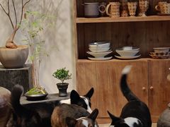 -自由生长植物工作室(深港花卉中心店)