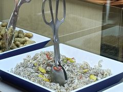 -海底捞火锅(公益西桥店)