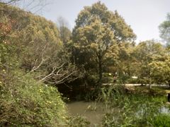 -峙山公园