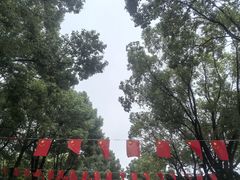 -溱湖国家湿地公园