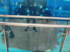 -鸿通城购物中心