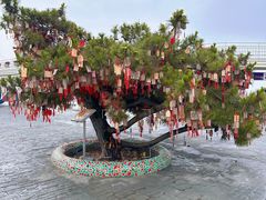 -北戴河碧螺塔海上酒吧公园