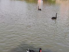 -无锡动物园·太湖欢乐园