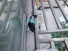 -海底捞火锅(吾悦广场店)