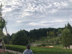 -铁山坪森林公园